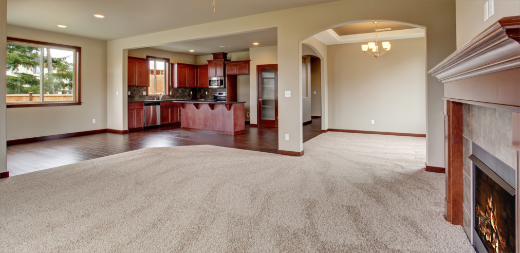 Alki Carpet Cleaning - Carpet Cleaning in Alki, Seattle Washington