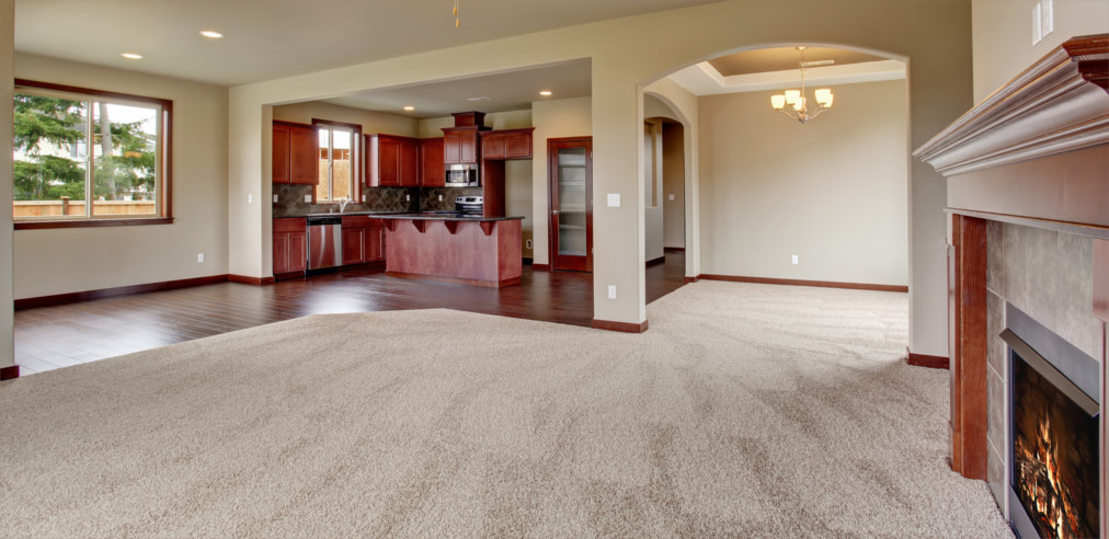 Delridge Carpet Cleaning - Carpet Cleaning in Delridge, Seattle WA